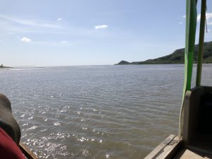 November 6, 2019 - (2) Iriomote - Water Buffalo for Yubu Island - 9 of 10