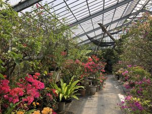 November 6, 2019 - (3) Yubu - 10 of 16