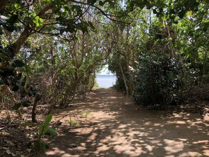 November 6, 2019 - (3) Yubu - 12 of 16
