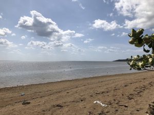 November 6, 2019 - (3) Yubu - 14 of 16