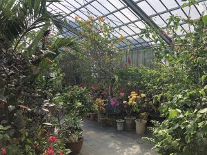 November 6, 2019 - (3) Yubu - 9 of 16