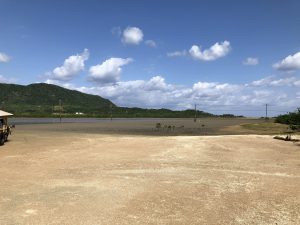 November 6, 2019 - (4) Yubu- Water Buffalo for Iriomote Island - 3 of 4