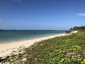 November 6, 2019 - (6) Kohama - Hosozaki Beach - 1 of 11