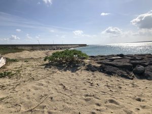 November 6, 2019 - (6) Kohama - Hosozaki Beach - 4 of 11
