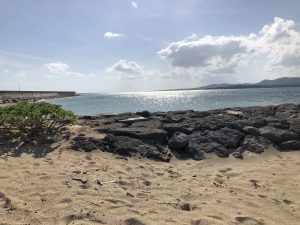November 6, 2019 - (6) Kohama - Hosozaki Beach - 5 of 11