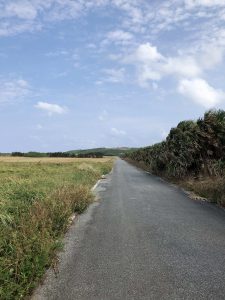 November 7, 2019 - (07) Yonaguni - East Ranch - 1 of 14
