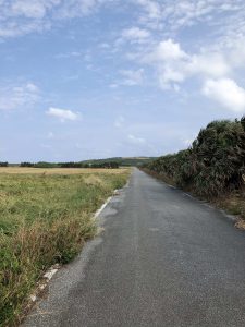 November 7, 2019 - (07) Yonaguni - East Ranch - 2 of 14
