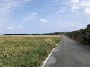 November 7, 2019 - (07) Yonaguni - East Ranch - 3 of 14
