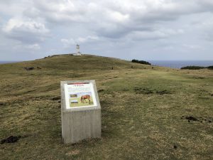 November 7, 2019 - (08) Yonaguni - Tozaki Todai - 12 of 21