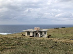 November 7, 2019 - (08) Yonaguni - Tozaki Todai - 13 of 21