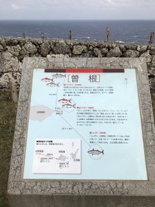 November 7, 2019 - (08) Yonaguni - Tozaki Todai - 17 of 21
