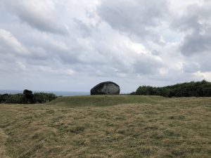 November 7, 2019 - (08) Yonaguni - Tozaki Todai - 2 of 21