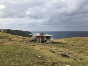 November 7, 2019 - (08) Yonaguni - Tozaki Todai - 20 of 21