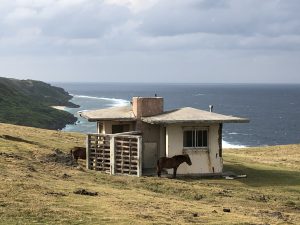 November 7, 2019 - (08) Yonaguni - Tozaki Todai - 21 of 21
