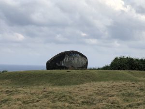 November 7, 2019 - (08) Yonaguni - Tozaki Todai - 3 of 21