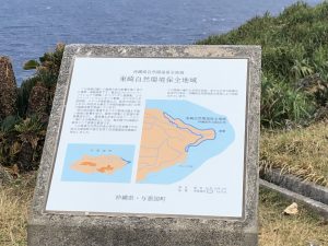 November 7, 2019 - (08) Yonaguni - Tozaki Todai - 9 of 21