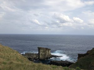 November 7, 2019 - (09) Yonaguni - Sanninudai and Gunkaniwa Rock - 5 of 6