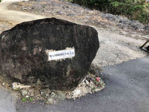 November 7, 2019 - (11) Yonaguni - Dr. Coto's Clinic - 1 of 7