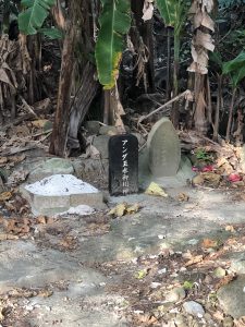 November 7, 2019 - (11) Yonaguni - Dr. Coto's Clinic - 7 of 7