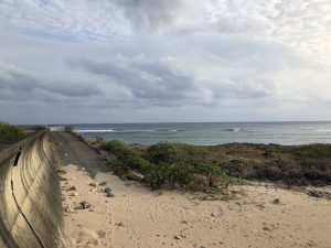 November 7, 2019 - (12) Yonaguni - Kataburu Beach - 2 of 4