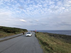 November 7, 2019 - (13) Yonaguni - South Ranch - 13 of 13