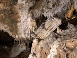 November 8, 2019 - (2) Ishigaki - Stalactite Cave - 11 of 27