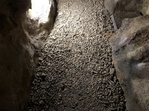 November 8, 2019 - (2) Ishigaki - Stalactite Cave - 12 of 27