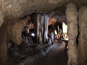 November 8, 2019 - (2) Ishigaki - Stalactite Cave - 13 of 27