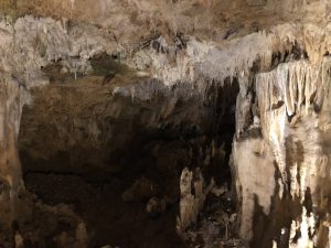 November 8, 2019 - (2) Ishigaki - Stalactite Cave - 16 of 27