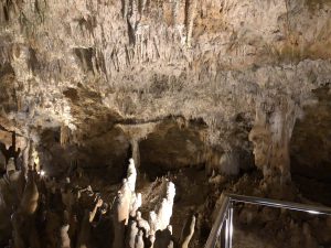 November 8, 2019 - (2) Ishigaki - Stalactite Cave - 17 of 27