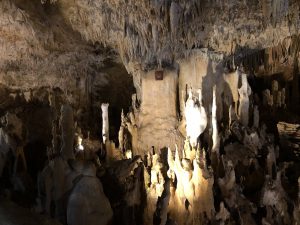 November 8, 2019 - (2) Ishigaki - Stalactite Cave - 19 of 27