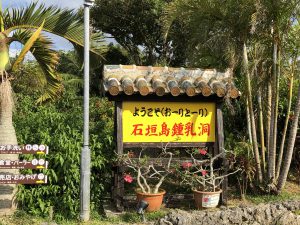 November 8, 2019 - (2) Ishigaki - Stalactite Cave - 2 of 27