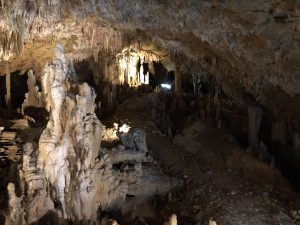November 8, 2019 - (2) Ishigaki - Stalactite Cave - 20 of 27
