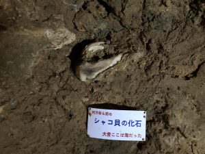 November 8, 2019 - (2) Ishigaki - Stalactite Cave - 22 of 27