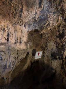 November 8, 2019 - (2) Ishigaki - Stalactite Cave - 23 of 27