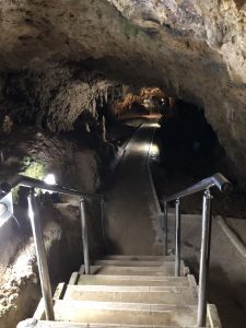 November 8, 2019 - (2) Ishigaki - Stalactite Cave - 24 of 27