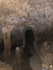 November 8, 2019 - (2) Ishigaki - Stalactite Cave - 25 of 27