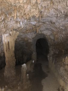 November 8, 2019 - (2) Ishigaki - Stalactite Cave - 26 of 27