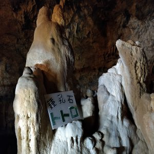 November 8, 2019 - (2) Ishigaki - Stalactite Cave - 30