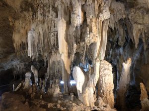 November 8, 2019 - (2) Ishigaki - Stalactite Cave - 5 of 27