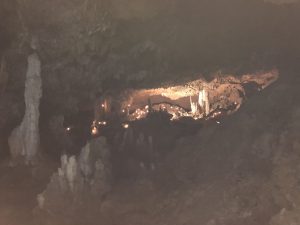 November 8, 2019 - (2) Ishigaki - Stalactite Cave - 8 of 27
