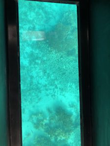 November 8, 2019 - (6) Ishigaki - Kabira Bay - 10 of 31