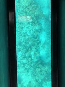 November 8, 2019 - (6) Ishigaki - Kabira Bay - 11 of 31