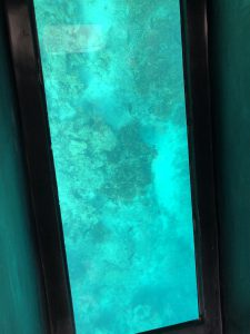 November 8, 2019 - (6) Ishigaki - Kabira Bay - 12 of 31