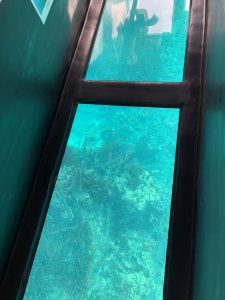 November 8, 2019 - (6) Ishigaki - Kabira Bay - 13 of 31