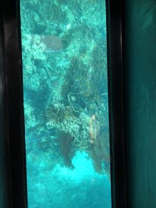 November 8, 2019 - (6) Ishigaki - Kabira Bay - 14 of 31