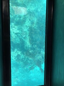 November 8, 2019 - (6) Ishigaki - Kabira Bay - 15 of 31