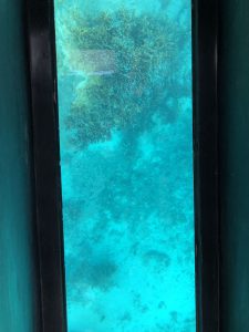 November 8, 2019 - (6) Ishigaki - Kabira Bay - 16 of 31