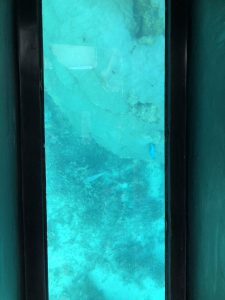 November 8, 2019 - (6) Ishigaki - Kabira Bay - 17 of 31