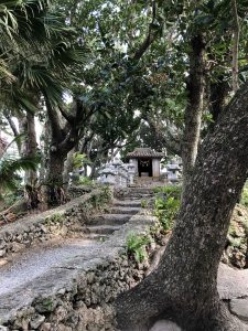 November 8, 2019 - (6) Ishigaki - Kabira Bay - 23 of 31
